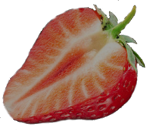 Albion