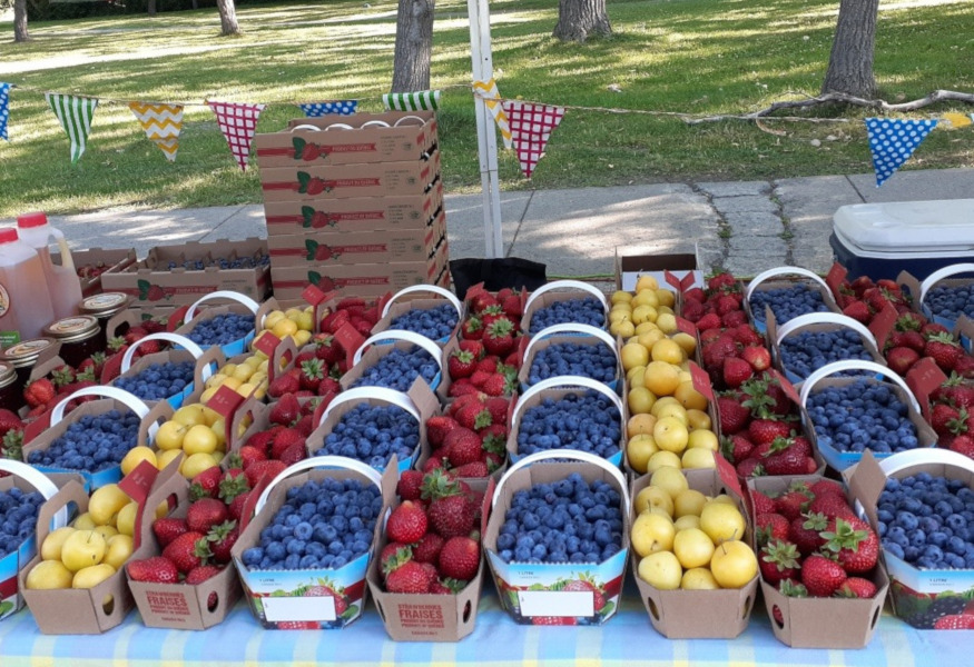 Summer Markets