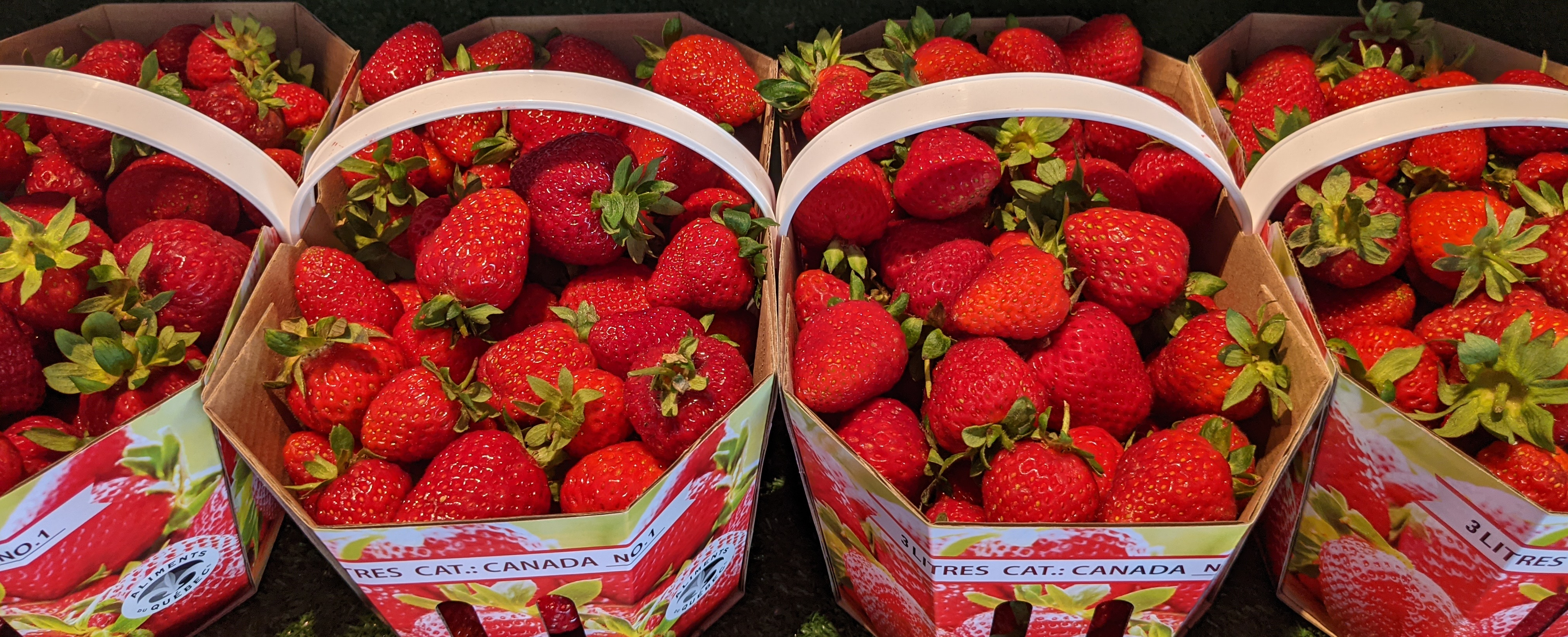 Strawberry Picking