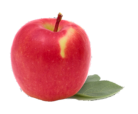 Ambrosia