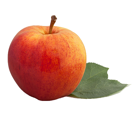 Gala